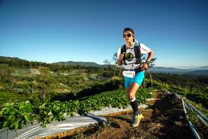 BIB: 9048
                            <button type="button" onclick="openModal(19114522)" class="btn btn-primary btn-sm float-right btn-popup" data-toggle="modal" data-target=".modal-high-quality">
                        <i class="fas fa-shopping-cart"></i> Add to Cart
                    </button>
                                            <button type="button" onclick="isThisMe(19114522, true)" class="btn btn-success btn-sm float-right btn-popup btn-isme hidden" data-toggle="tooltip" data-placement="bottom" title="นี่คือรูปของคุณใช่ไหม คลิกที่นี่เพื่อเอาเข้าอัลบั้ม">
                        <i class="fas fa-plus"></i> Add to album
                    </button>
                    <button type="button" onclick="isThisMe(19114522, false)" class="btn btn-warning btn-sm float-right btn-popup btn-isnotme hidden">
                        <i class="fas fa-ban"></i> Remove from album
                    </button>